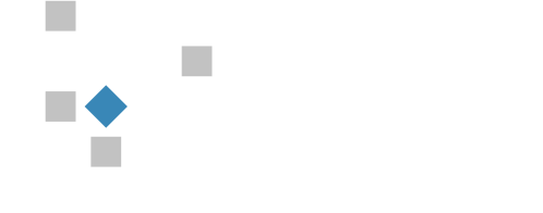 ls inverso logo orizzontale